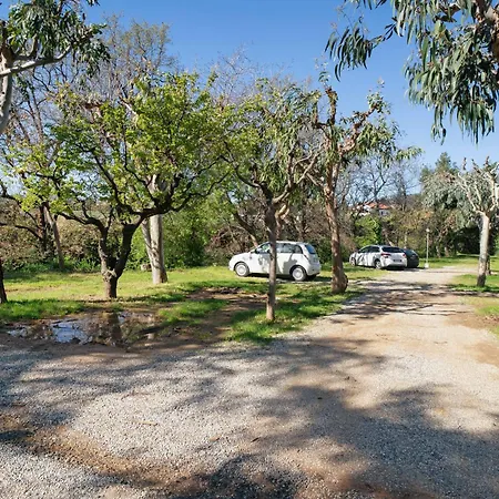 Monolocale La Pineta 46 Daire